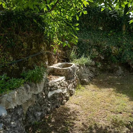 Galini Vines - Authentic Corfu Village Life Wifi Ac *