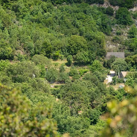 Galini Vines - Authentic Corfu Village Life Wifi Ac *