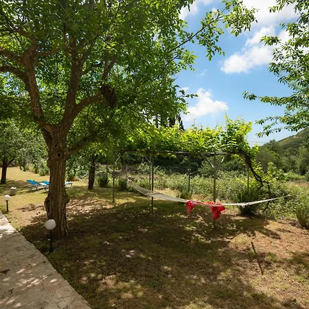Galini Vines - Authentic Corfu Village Life Wifi Ac Holiday home Petaleia