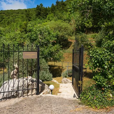 Holiday home Galini Vines - Authentic Corfu Village Life Wifi Ac Petaleia