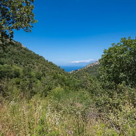 Galini Vines - Authentic Corfu Village Life Wifi Ac Petaleia