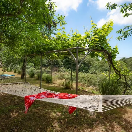 Tatil Evi Galini Vines - Authentic Corfu Village Life Wifi Ac