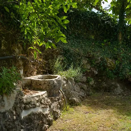 Tatil Evi Galini Vines - Authentic Corfu Village Life Wifi Ac